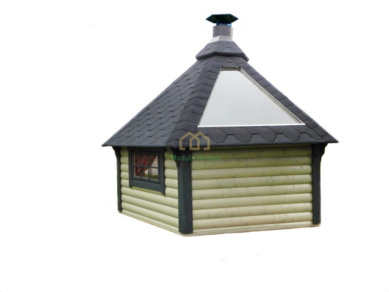 Panneau de toit avec fenêtre: